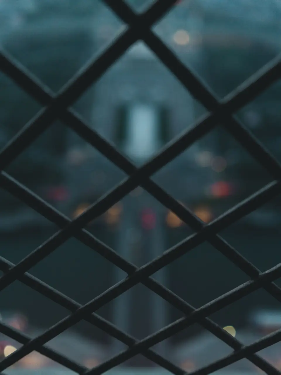 Close view through a chain-link fence