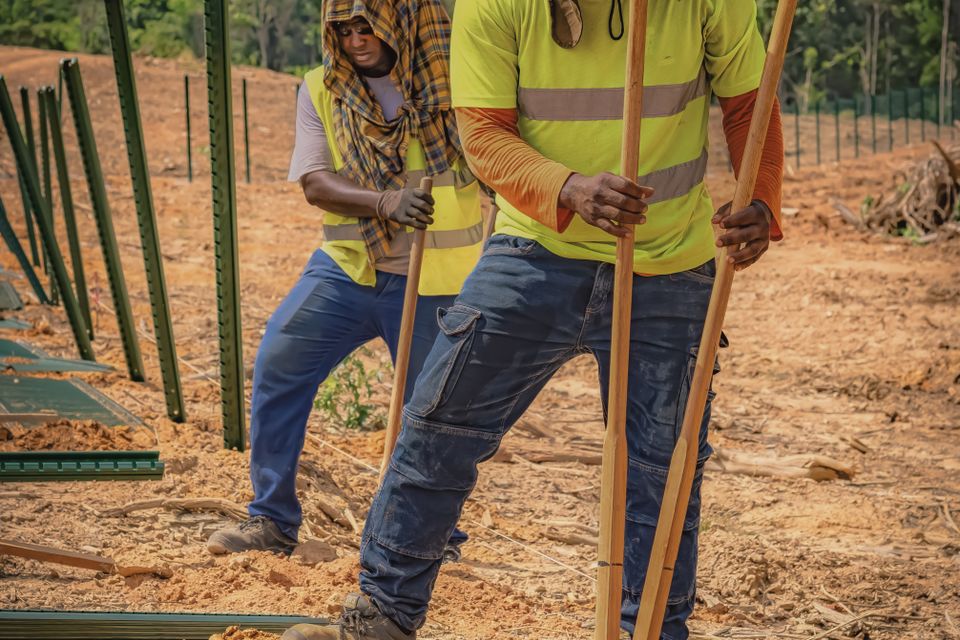 Stock view of two workers setting fence posts outdoors